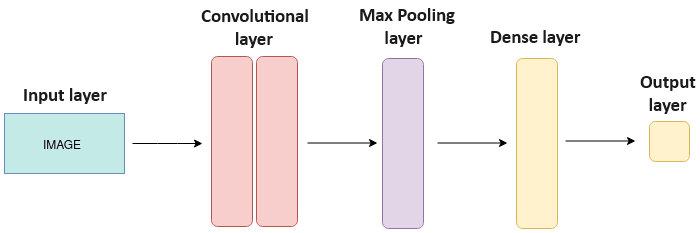Convolutional Neural Network